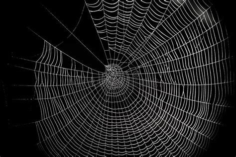 A Spider Web Pattern For Halloween Scary Spiderweb Stock Photo - Image ...