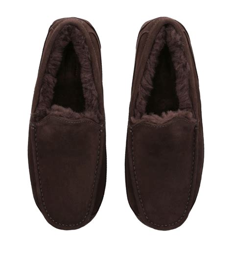 Mens Ugg Brown Ascot Slippers Harrods Uk