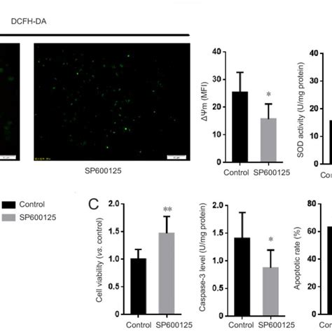 Inhibition Of Jnk Suppressed The Aggravating Effect Of Mkp1 Knockdown