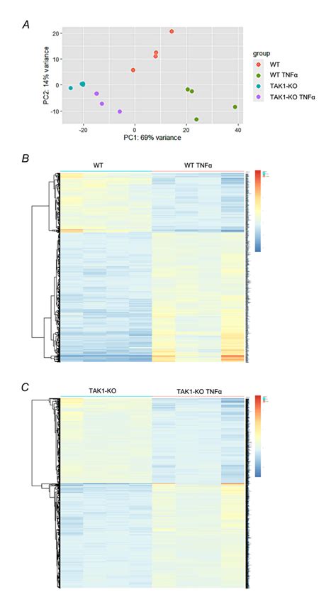 Fig S5 A Principal Components Analysis Of Rna Seq Data Of Wild Type