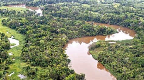 Amazonía Boliviana Descubriendo Los Tesoros Arqueológicos De Este