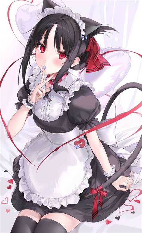 Neko Maid Shinomiya Kaguya Sama Love Is War Rnekocult