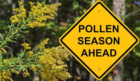 Is Pollen Season Happening Earlier? | Blog | Science Museum of Virginia