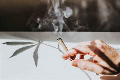 Weed Etiquette Tips According To Cannabis Experts Ps Balance