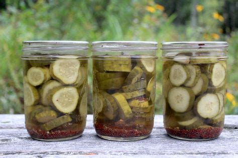 9 Pickles canning ideas | pickles, canning, pickling recipes