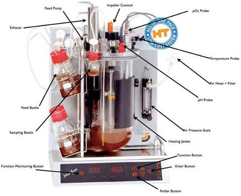 bioreactor parts and their functions - Jeffrey Tran