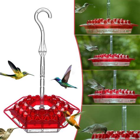 Hummingbird Dish Feeder