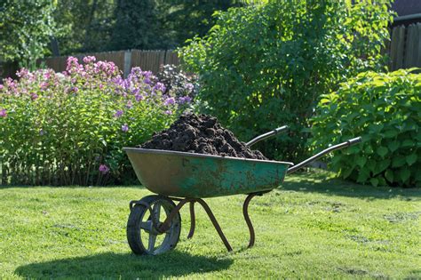 Lawns 101: The 10 Best Practices for Healthy Lawns and Water - My ...