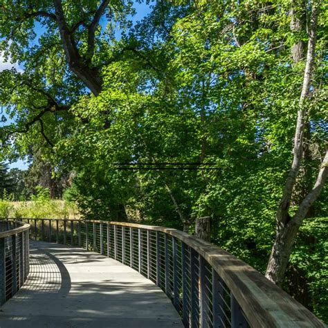 Hillsboro Urban Tree Canopy Assessment Planit Geo