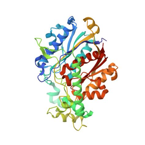 RCSB PDB 8OPW Structure Of Mycobacterium Tuberculosis Beta Oxidation