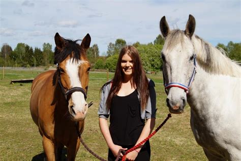 Can Horses Eat Lettuce Celery And Cabbage Equestlife