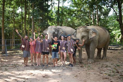 Elephant Jungle Sanctuary Samui