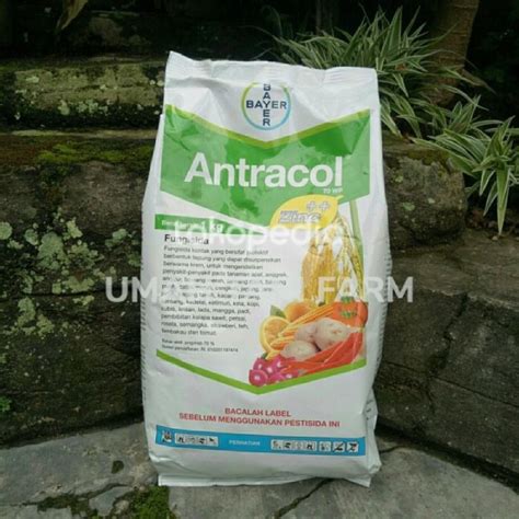 Fungisida Antracol 70 WP Plus Zinc1 Kg Lazada Indonesia