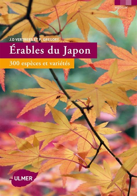 Erables Du Japon Esp Ces Et Vari T S Jardin De Luchane