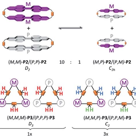 Schematic Representation Of Conformational Equilibrium Between The Download Scientific Diagram