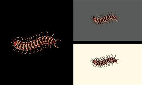 Page 2 Maggots Vectors And Illustrations For Free Download Freepik