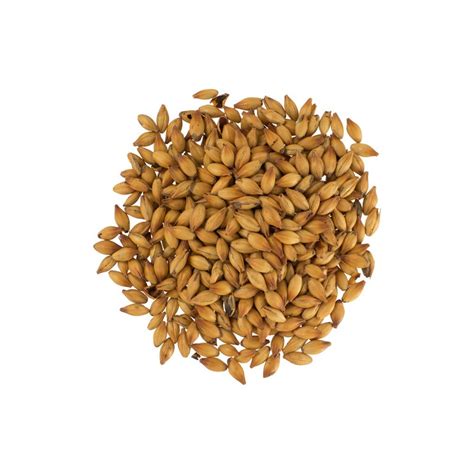 aromatic malt dingemans malting
