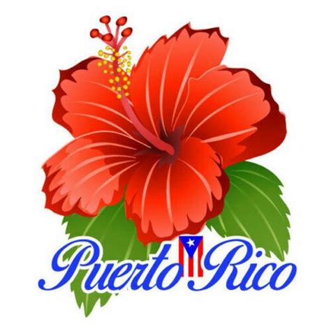 PUERTO RICO FLAG Sticker Decal Bandera Boricua Amapola 1 Etsy