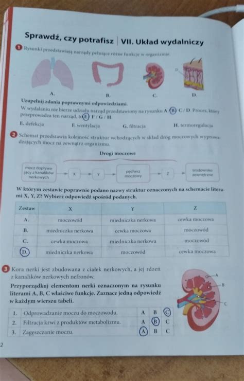 Puls życia 7 biologia Sprawdź czy potrafisz układ wydalniczy