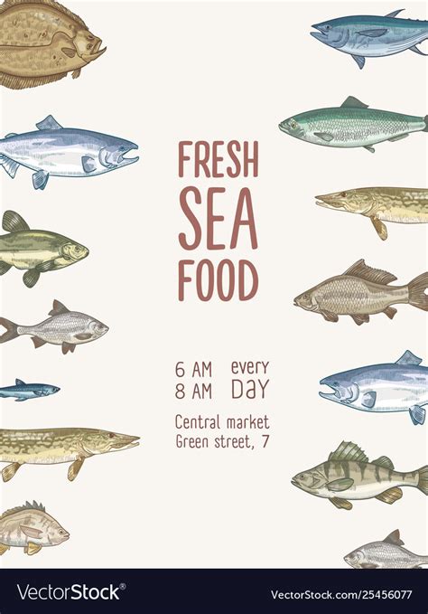 Flyer Template With Fish Or Fresh Seafood Vector Image