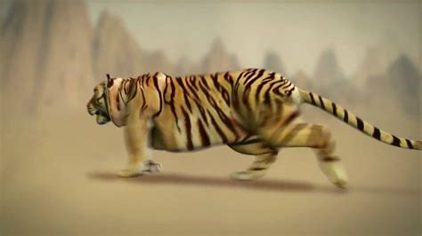 Tiger Walk Cycle