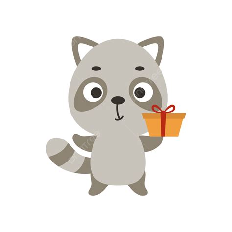 Lindo Mapache Pequeño Con Caja De Regalo Sobre Fondo Blanco Png
