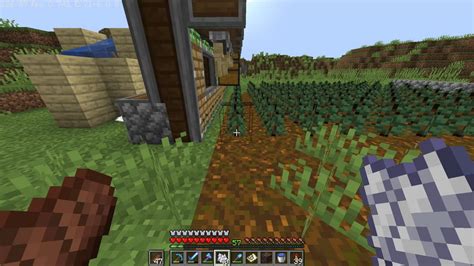 Why Are My Trees Not Growing R Minecraft