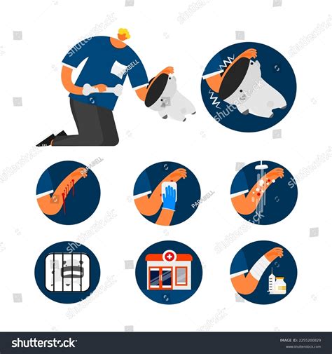 First Aid Dog Bites Scratch Illustration Stock Vector (Royalty Free