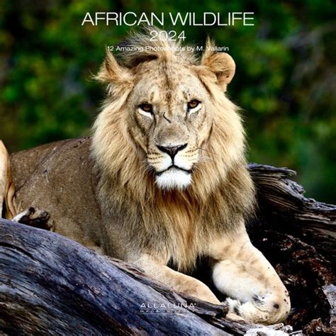 African Wildlife Kalender Bol