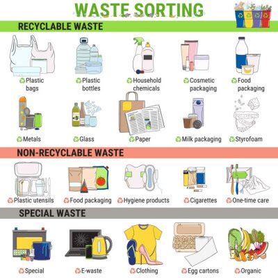 Global Waste Composition Infographic Sorting Garbage Segregation