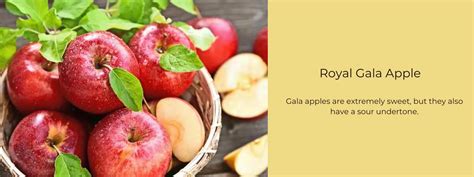 Royal Gala Apple Health Benefits Uses And Important Facts