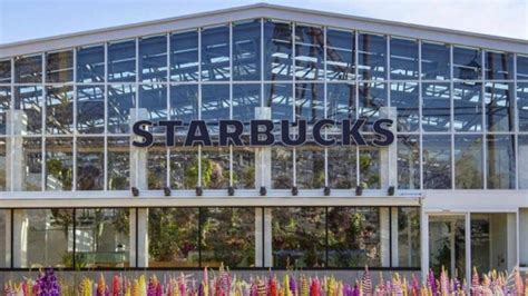 Theres A Starbucks In A Garden In Japan And Its Breathtakingly Beautiful