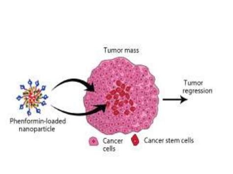 Nano Drug Delivery System For The Cancer Therapy Ppt