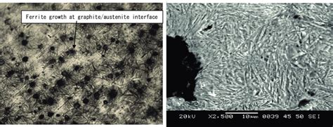 Microstructure Of Di 250 1 H Etched With 2 Nital A Optical