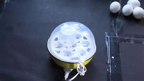 Plastic Electric Egg Boiler, For Home at ₹ 195/piece in Surat | ID ...