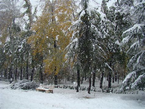 Rasht Photo by KOOROSH | 12:36 pm 25 Nov 2011