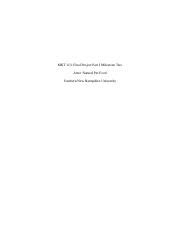 Mkt Part I Milestone Two Submission Template Docx Mkt Final