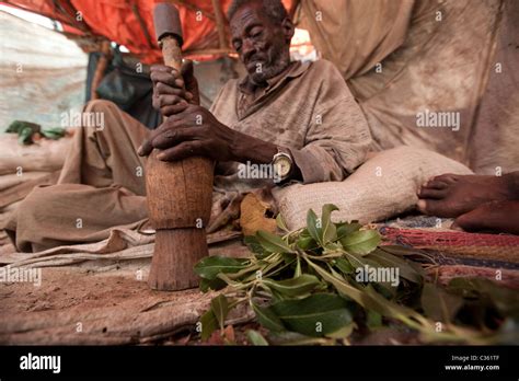 Chewing khat hi-res stock photography and images - Alamy