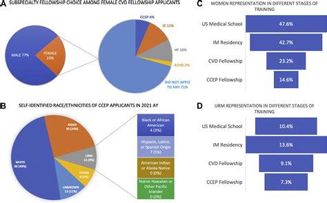 Quantification Of Female And Underrepresented Minority Applicants To