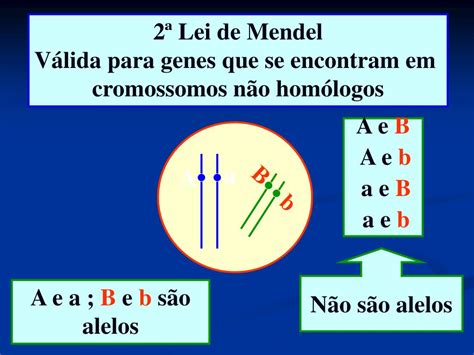 A Que Correspondem Os Fatores Considerados Por Mendel