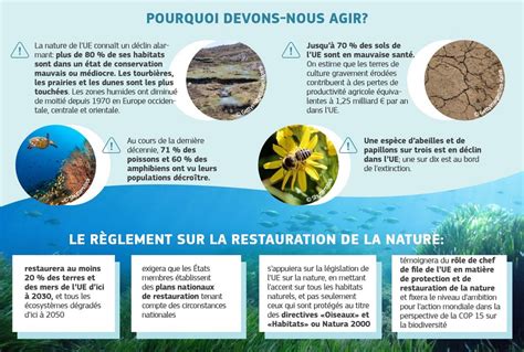 Favoriser la nature en ville dambitieuses nouveautés législatives en