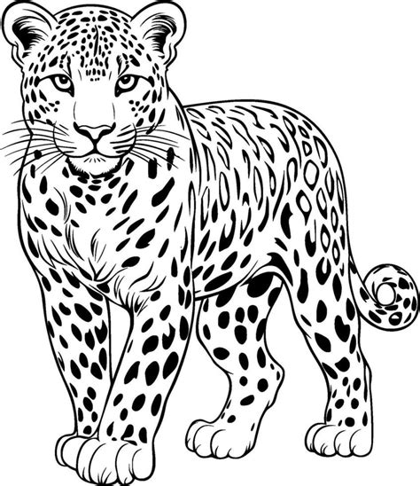 Leopard Outline Vector Art, Icons, and Graphics for Free Download