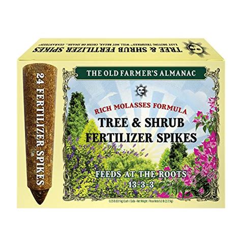 12 Best Pecan Tree Fertilizer For 2024 Storables