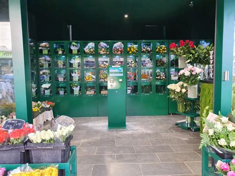 Distributeur Automatique De Fleurs Fleuriste Providif