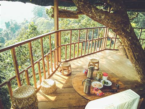 Slaap In Een Boomhut Van The Gibbon Experience In Laos Reisjunk