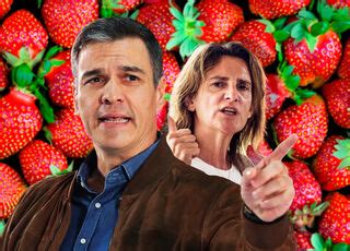 Lidl Se Desmarca De Pedro Sanchez Y Apoya Con Firmeza A Los Productores