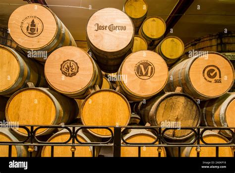 Wooden Casks At Jose Cuervo La Rojena Tequila Distillery Cellar