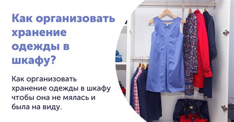 Несколько офигенных советов, как разложить вещи в шкафу: как ...