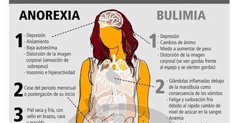 Bulimia Vs Anorexia Venn Diagram Anorexia Nervosa And Bulimi