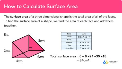 find  surface area   rectangle  hector gill blog